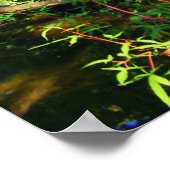 Verborgen waterval poster (Hoek)