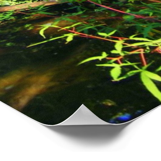 Verborgen waterval poster (Hoek)