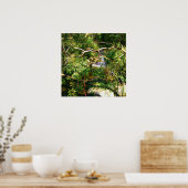 Verborgen waterval poster (Keuken)