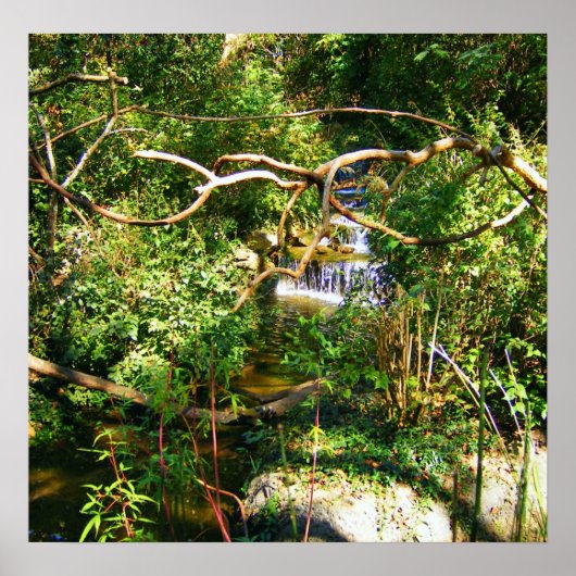 Verborgen waterval poster (Voorkant)