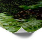 Verborgen waterval poster (Hoek)