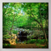 Verborgen waterval poster (Voorkant)