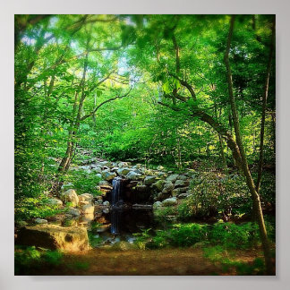 Verborgen waterval poster