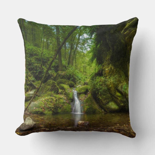 Verborgen Waterval Worp Kussen (Voorkant)