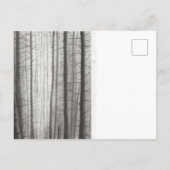 Verbrand bos briefkaart (Achterkant)