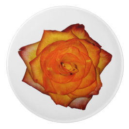 verbrand Oranje Roos Keramische Knop