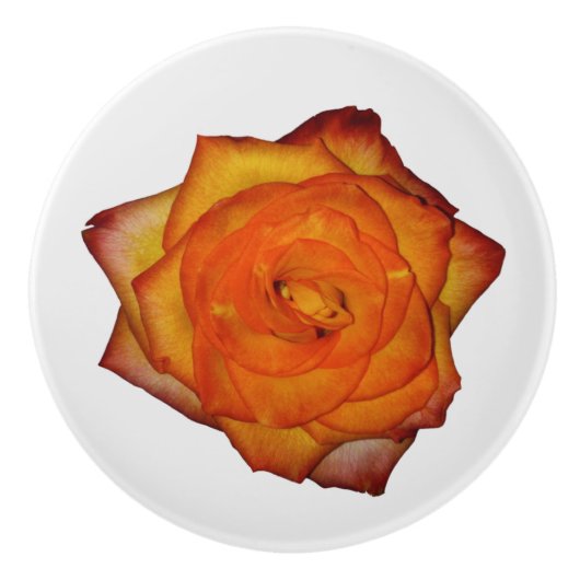 verbrand Oranje Roos Keramische Knop (Voorkant)