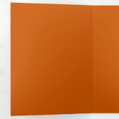 verbrand Sinaasappel Drieluik Programma (Binnenzijde eerst)