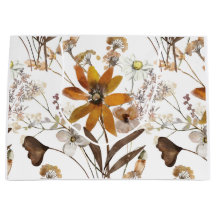 Verbrand Sinaasappel Eenvoudige Wildbloem Herfst B