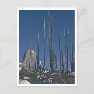 Verbrande bomen briefkaart