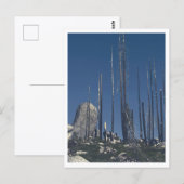 Verbrande bomen briefkaart (Voorkant / Achterkant)