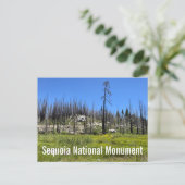 Verbrande bomen in Sequoia National Forest Briefkaart (Staand voorkant)