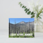 Verbrande bomen in Sequoia National Forest Briefkaart (Staand voorkant)