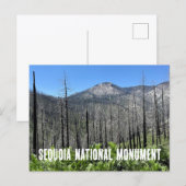 Verbrande bomen in Sequoia National Forest Briefkaart (Voorkant / Achterkant)