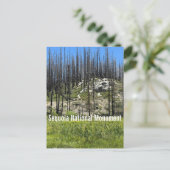 Verbrande bomen in Sequoia National Monument Briefkaart (Staand voorkant)