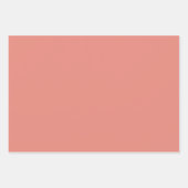 Verbrande koraal eenvoudig minimalistisch inpakpapier vel (Voorkant 3)