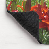 verbrande Oranje assifaatlilie, Gloriosas Daisies, Muismat (Hoek)