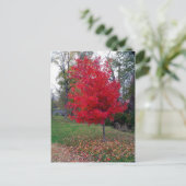 Verbrandend Struik Briefkaart (Staand voorkant)