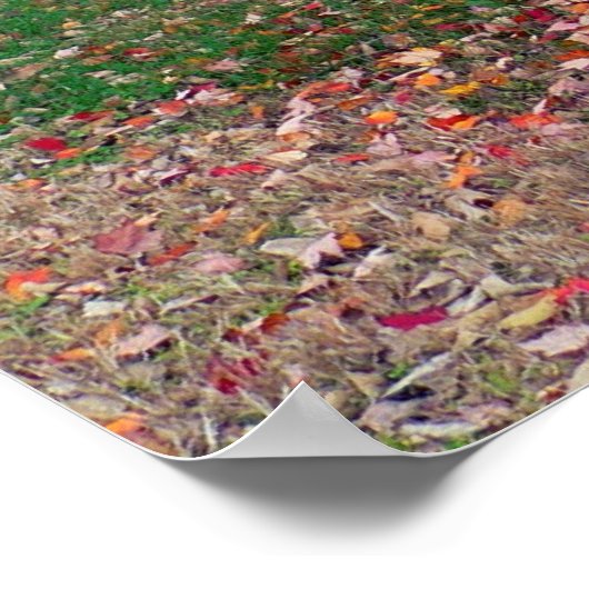 Verbrandend Struik Poster (Hoek)