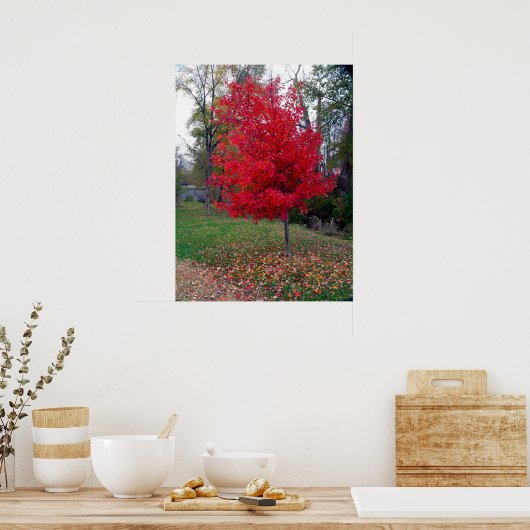 Verbrandend Struik Poster (Keuken)