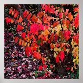 Verbrandende Abstracte Struik Poster (Voorkant)