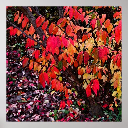 Verbrandende Abstracte Struik Poster (Voorkant)