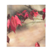 Verbrandende Struik Autumn Foliage - Euonymus alat Notitieblok (Voorkant)