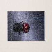 Verbrandingsincense bovenop de kom van de bladen legpuzzel (Horizontaal)