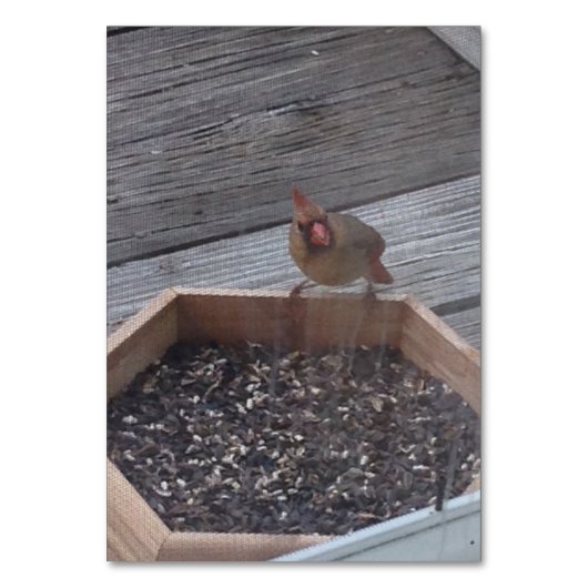 Verbs die Robin Bird Reading Flashcards eten Kaart (Voorkant)