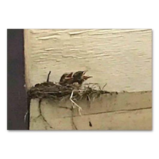 Verbs die vogels strijken die kaarten voor volwass (Voorkant)