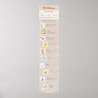 Verbs en hun functies