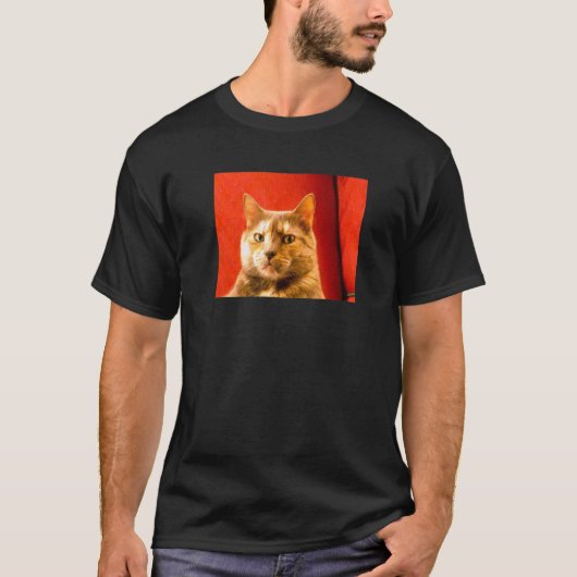 Verdacht kat-meme t-shirt (Voorkant)
