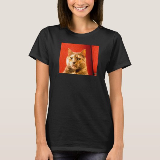 Verdachte kattemie t-shirt (Voorkant)