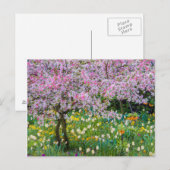 Verdagen in de tuin van Claude Monet Briefkaart (Voorkant / Achterkant)