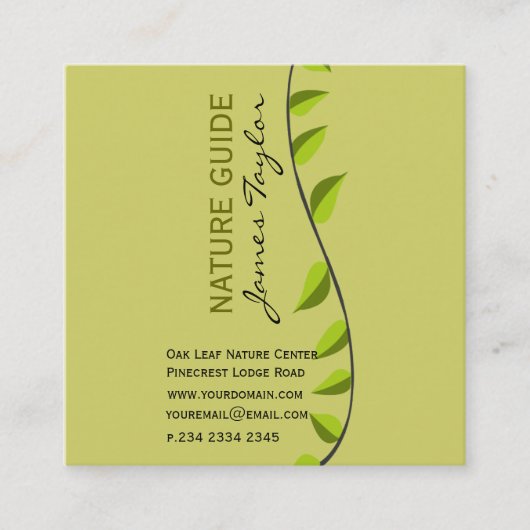 Verde Greenery Shoot Green Leaf Botanische Planten Vierkante Visitekaartje (Voorkant)