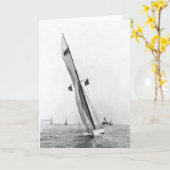 Verdediger 1895 kaart (Gele Bloem)