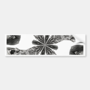 Verdeel en heers bumpersticker