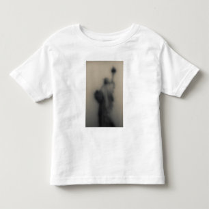 Verdeeld afbeelding van het Vrijheidsbeeld Kinder Shirts