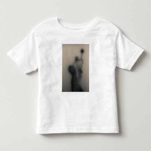 Verdeeld afbeelding van het Vrijheidsbeeld Kinder Shirts (Voorkant)