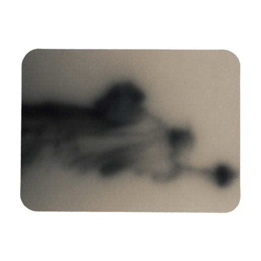 Verdeeld afbeelding van het Vrijheidsbeeld Magneet (Horizontaal)