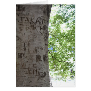Verdeeld in een Natuur van het Centrale Park van d
