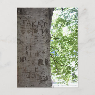 Verdeeld in een Natuur van het Centrale Park van d Briefkaart
