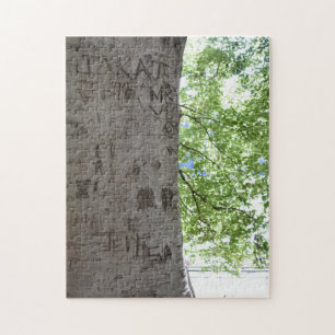 Verdeeld in een Natuur van het Centrale Park van d Legpuzzel