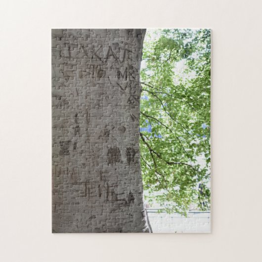 Verdeeld in een Natuur van het Centrale Park van d Legpuzzel (Verticaal)