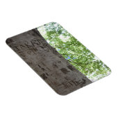 Verdeeld in een Natuur van het Centrale Park van d Magneet (Rechterzijde)