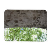 Verdeeld in een Natuur van het Centrale Park van d Magneet (Horizontaal)