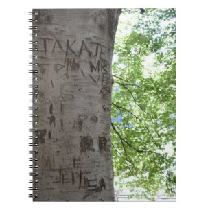 Verdeeld in een Natuur van het Centrale Park van d Notitieboek