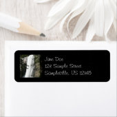 Verdefinitieve Herfsten III in het nationaal park  Etiket (Insitu)