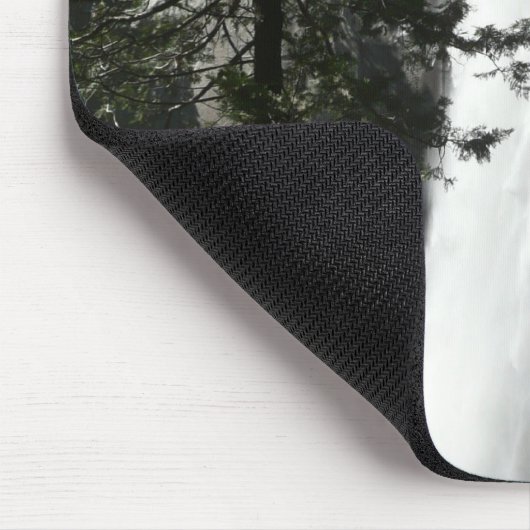 Verdefinitieve Herfsten III in het nationaal park Muismat (Hoek)