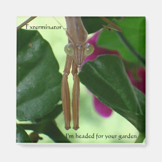 verdelermagneet magneet